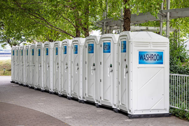 Best Affordable portable toilet rental  in Pingree Grove, IL